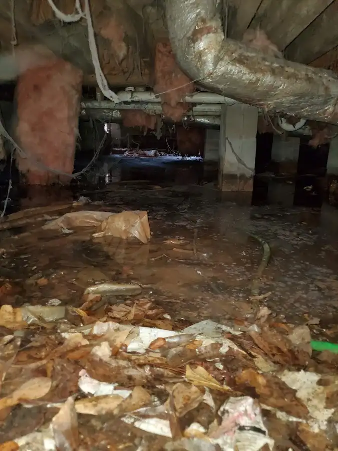 Crawl space flood assessment for Commercial Water Damage Restoration in Pine Hill